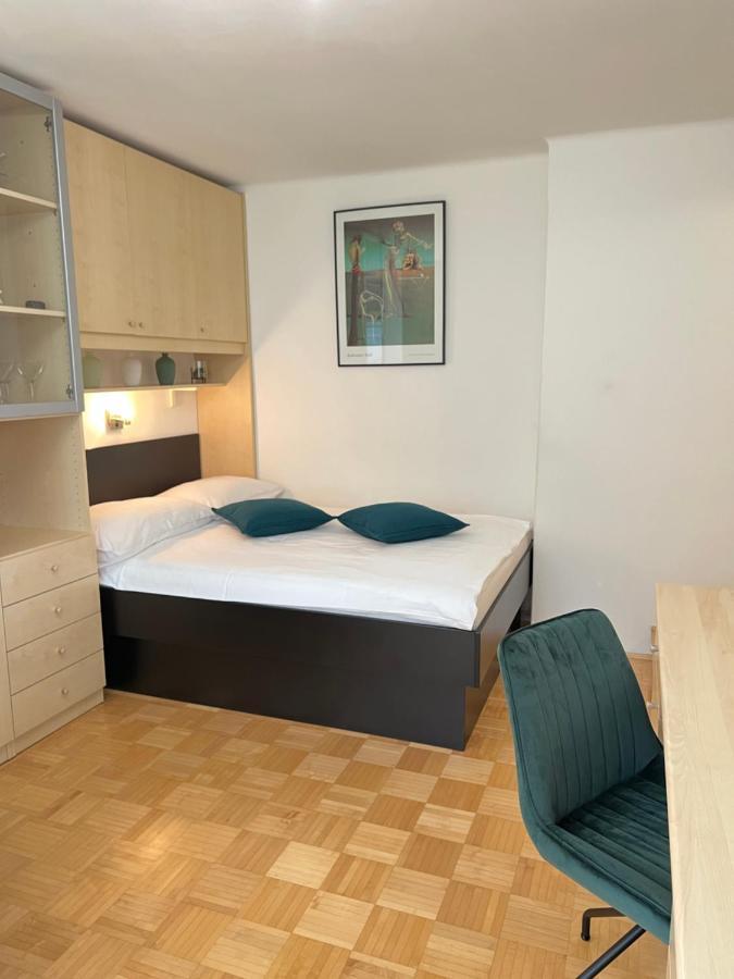Luxury Studio Apartments Ljubljana Dış mekan fotoğraf